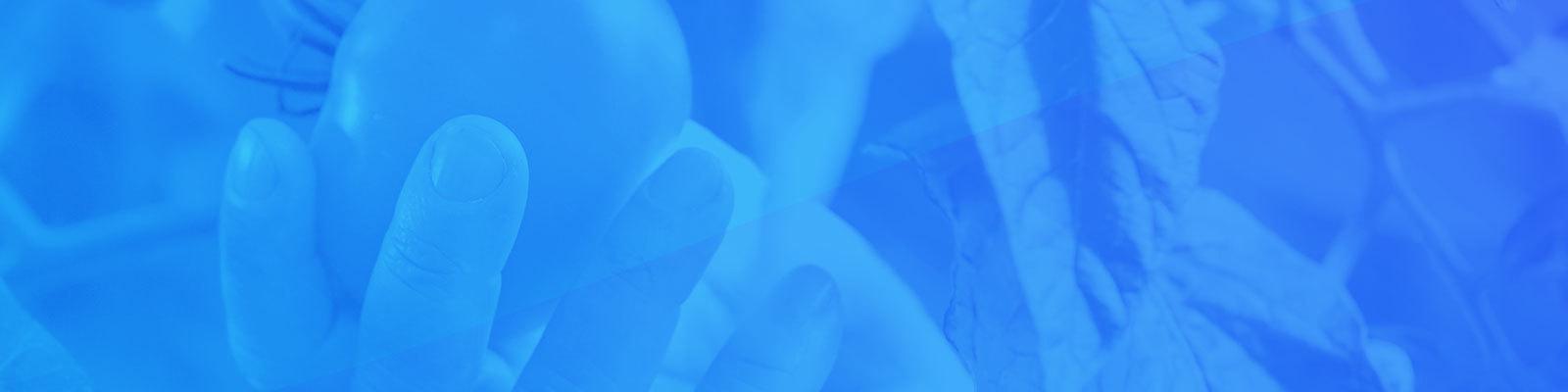 Datto Saas Protection Datto Datto Saas Protection Datto